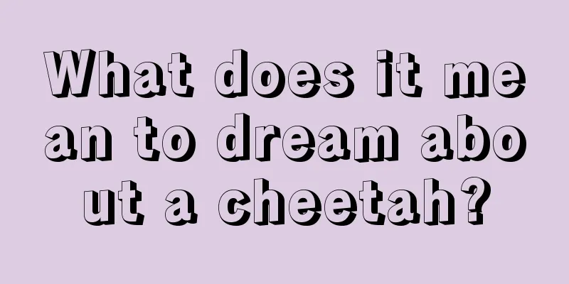 What does it mean to dream about a cheetah?