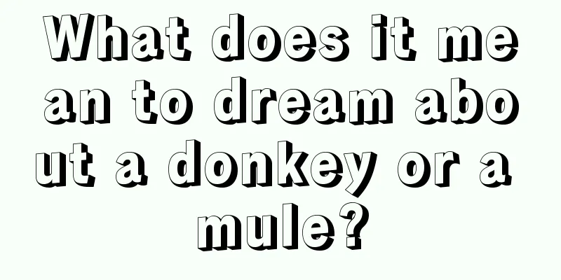 What does it mean to dream about a donkey or a mule?