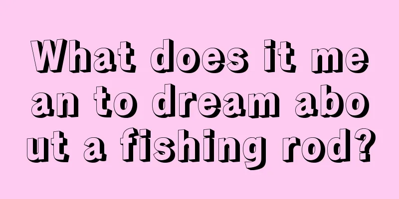 What does it mean to dream about a fishing rod?