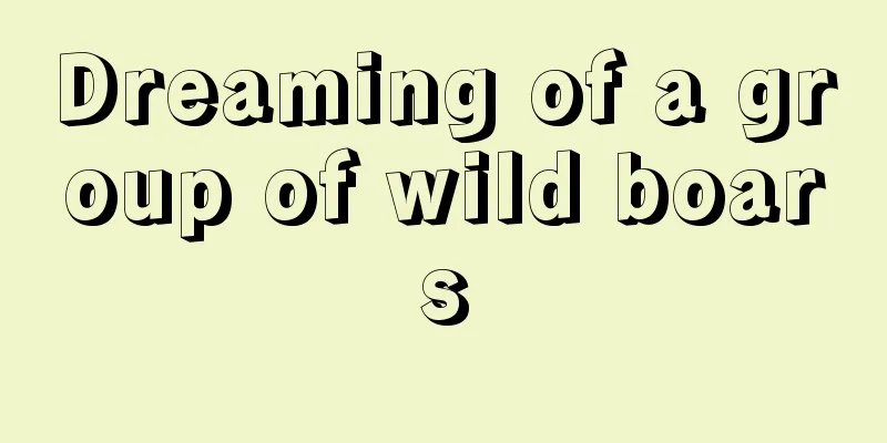 Dreaming of a group of wild boars