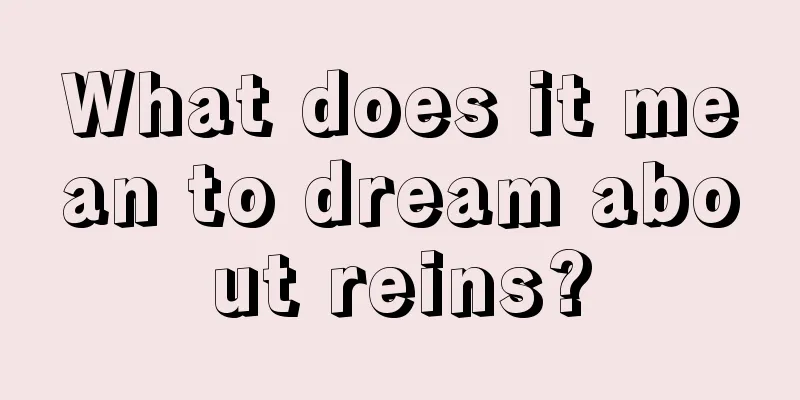 What does it mean to dream about reins?