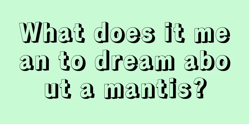 What does it mean to dream about a mantis?