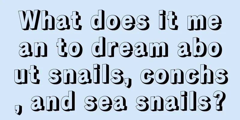 What does it mean to dream about snails, conchs, and sea snails?