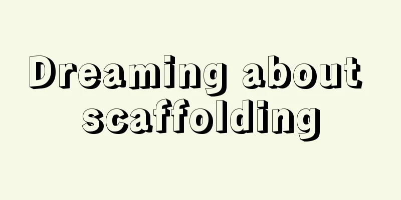 Dreaming about scaffolding