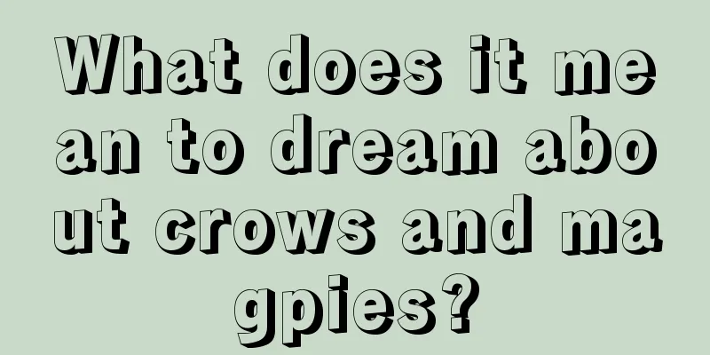 What does it mean to dream about crows and magpies?