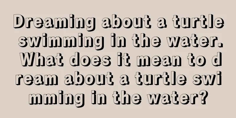 Dreaming about a turtle swimming in the water. What does it mean to dream about a turtle swimming in the water?