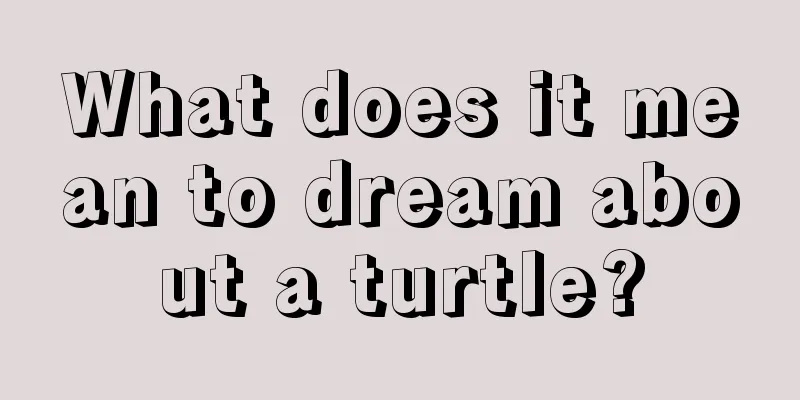 What does it mean to dream about a turtle?