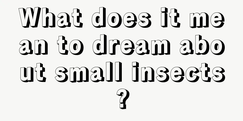 What does it mean to dream about small insects?