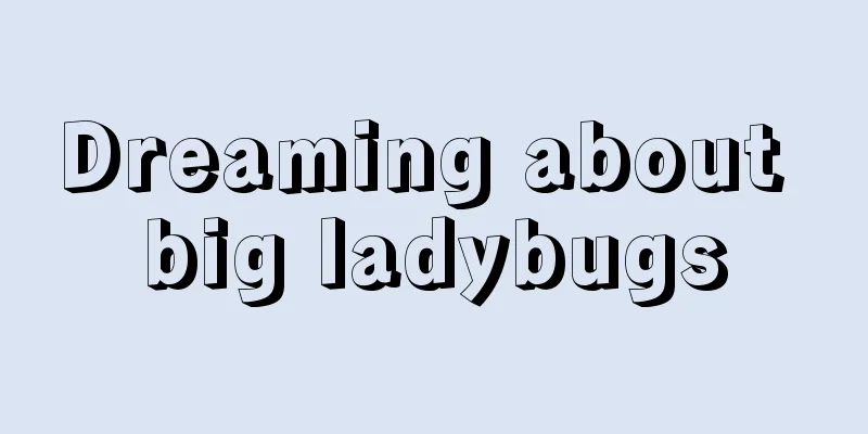 Dreaming about big ladybugs