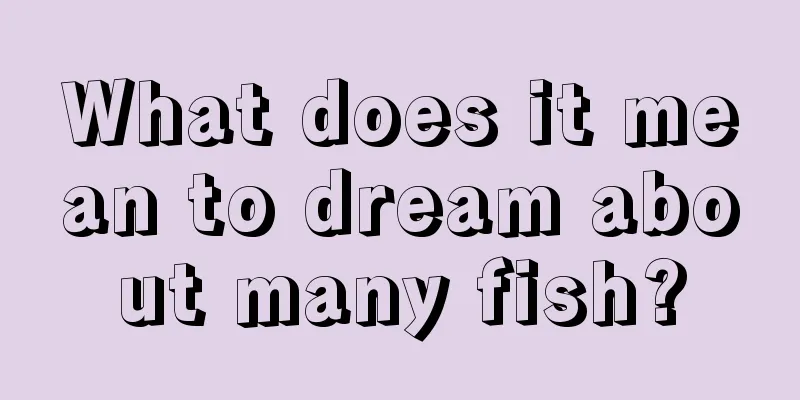 What does it mean to dream about many fish?