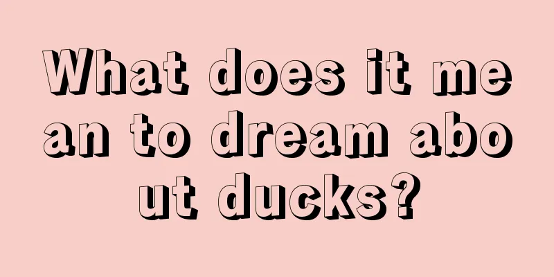 What does it mean to dream about ducks?