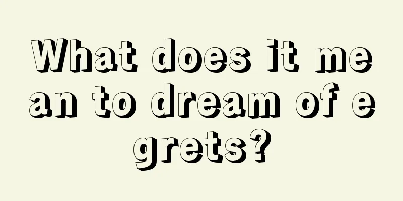 What does it mean to dream of egrets?