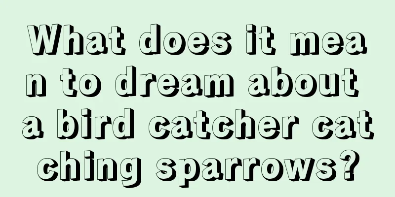 What does it mean to dream about a bird catcher catching sparrows?