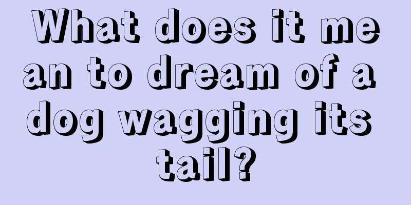 What does it mean to dream of a dog wagging its tail?