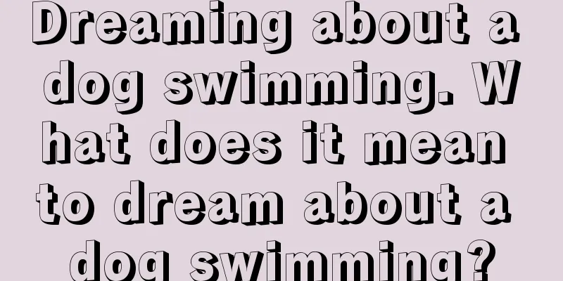 Dreaming about a dog swimming. What does it mean to dream about a dog swimming?