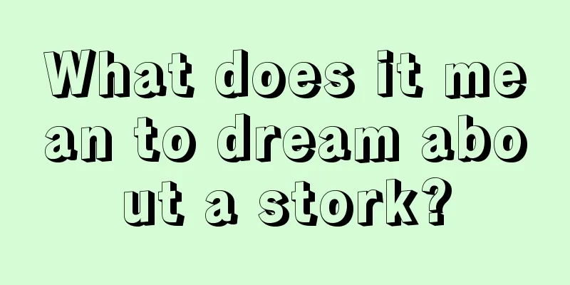 What does it mean to dream about a stork?