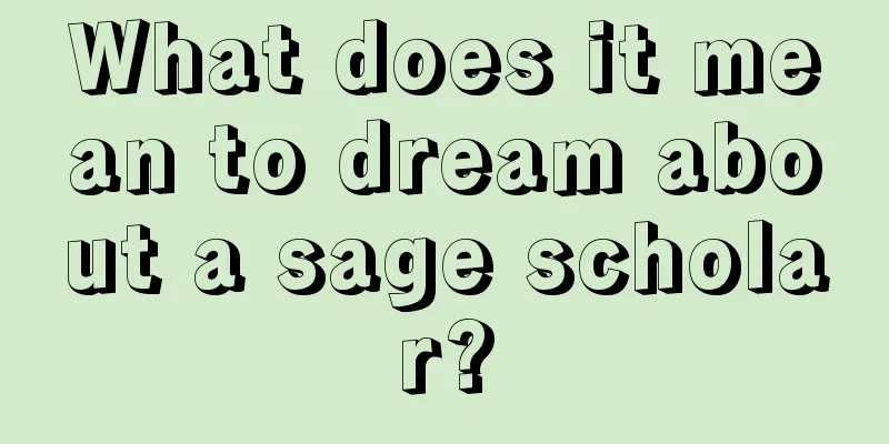 What does it mean to dream about a sage scholar?