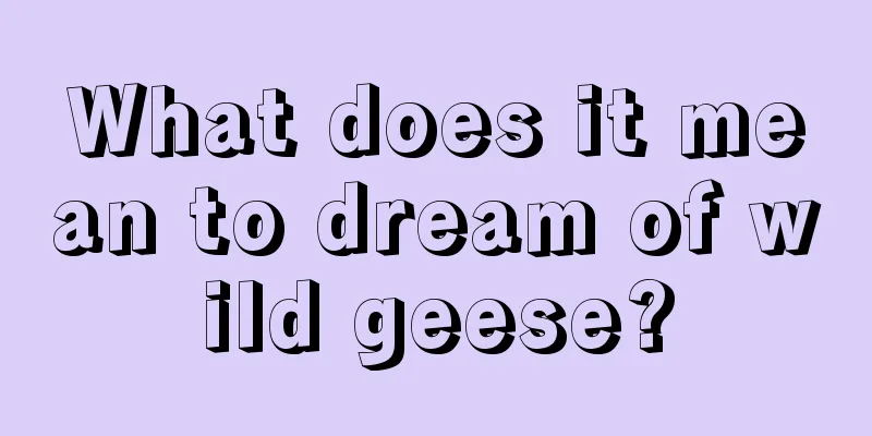 What does it mean to dream of wild geese?