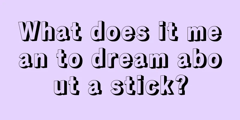 What does it mean to dream about a stick?