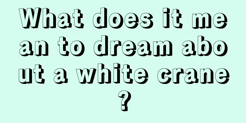 What does it mean to dream about a white crane?