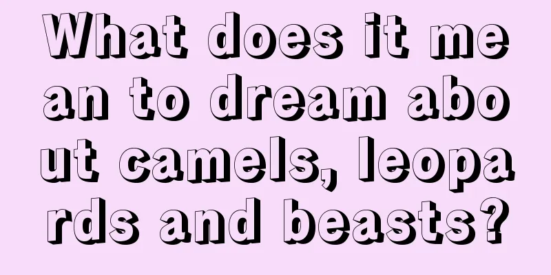 What does it mean to dream about camels, leopards and beasts?