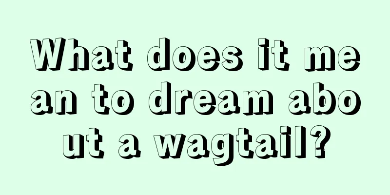 What does it mean to dream about a wagtail?