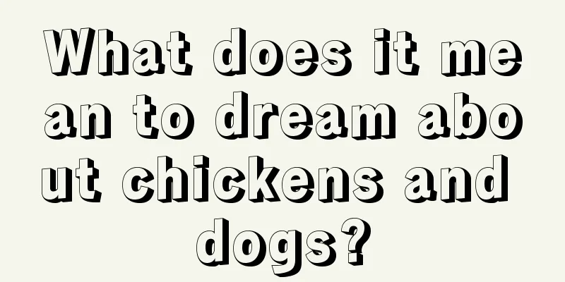 What does it mean to dream about chickens and dogs?