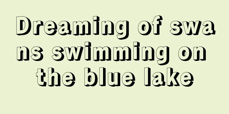 Dreaming of swans swimming on the blue lake