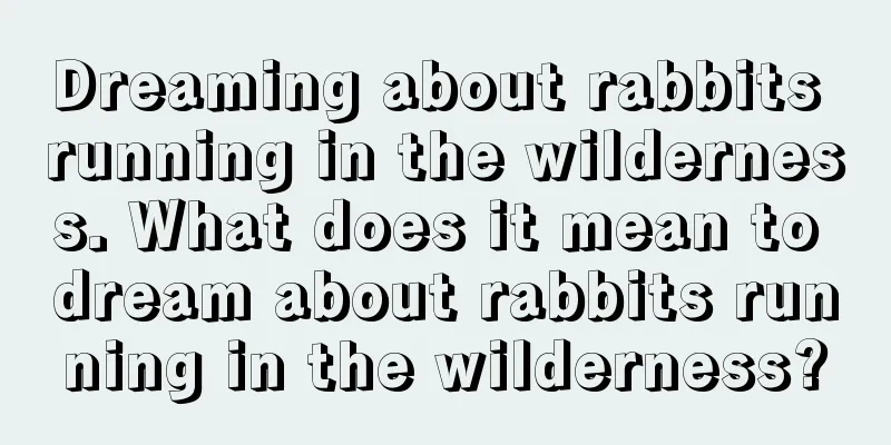 Dreaming about rabbits running in the wilderness. What does it mean to dream about rabbits running in the wilderness?