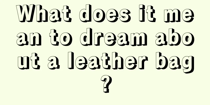 What does it mean to dream about a leather bag?