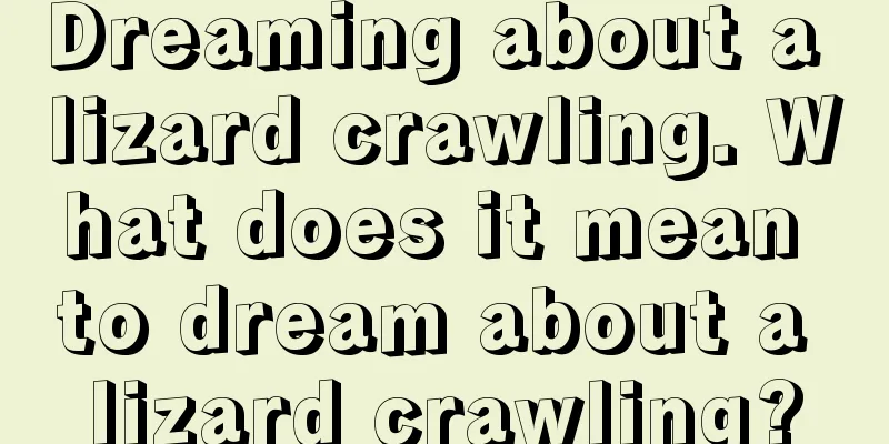 Dreaming about a lizard crawling. What does it mean to dream about a lizard crawling?