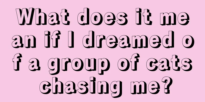 What does it mean if I dreamed of a group of cats chasing me?