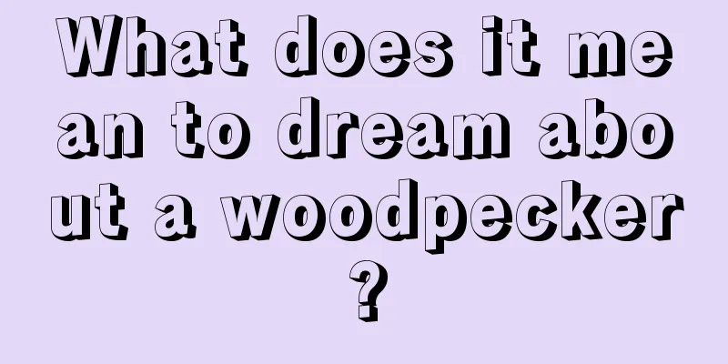 What does it mean to dream about a woodpecker?