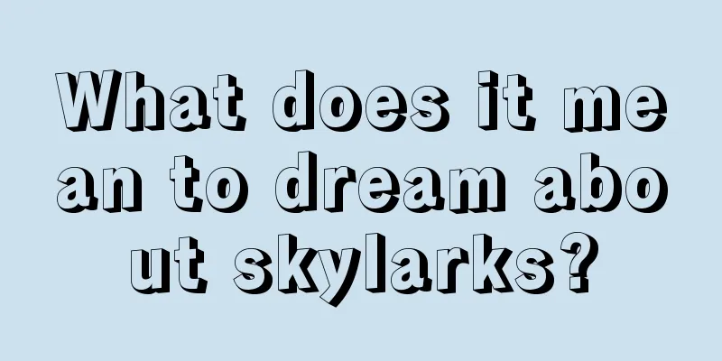 What does it mean to dream about skylarks?