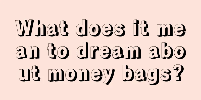 What does it mean to dream about money bags?