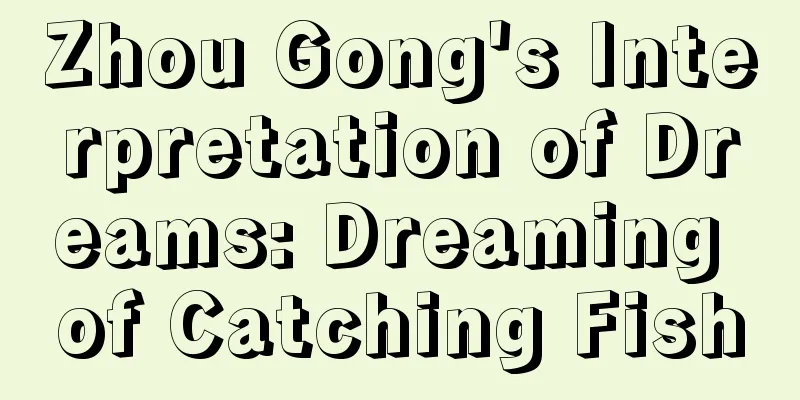 Zhou Gong's Interpretation of Dreams: Dreaming of Catching Fish