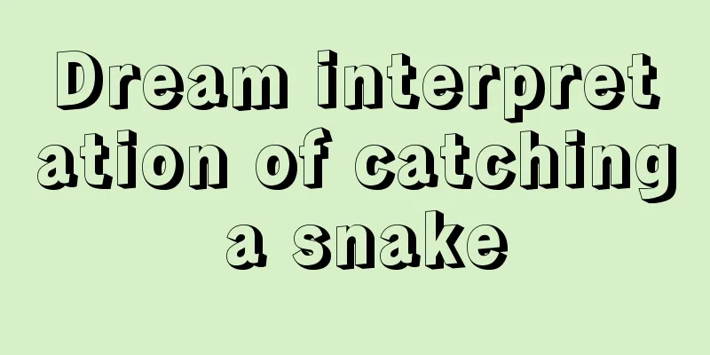 Dream interpretation of catching a snake