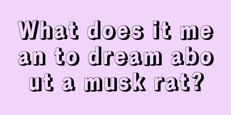 What does it mean to dream about a musk rat?