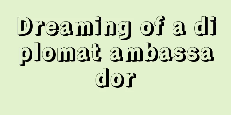 Dreaming of a diplomat ambassador