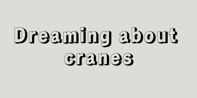 Dreaming about cranes