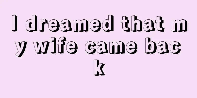 I dreamed that my wife came back