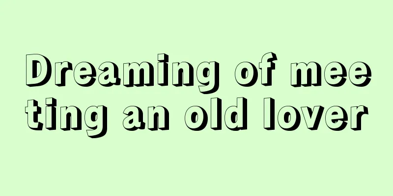 Dreaming of meeting an old lover