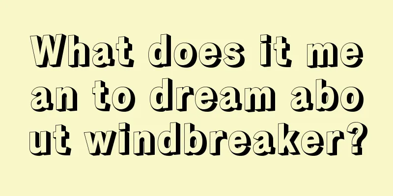 What does it mean to dream about windbreaker?