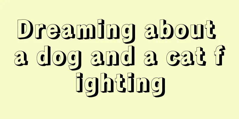 Dreaming about a dog and a cat fighting