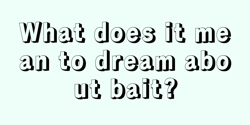 What does it mean to dream about bait?