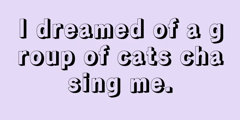 I dreamed of a group of cats chasing me.