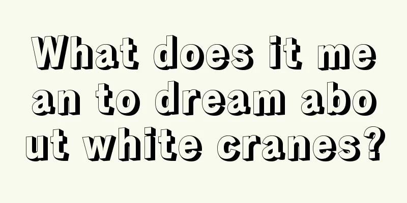 What does it mean to dream about white cranes?