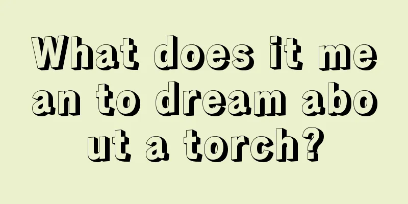 What does it mean to dream about a torch?