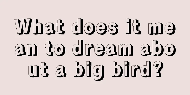 What does it mean to dream about a big bird?