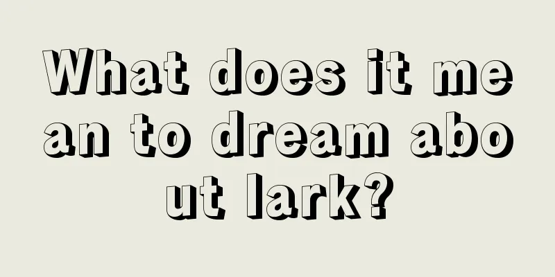 What does it mean to dream about lark?